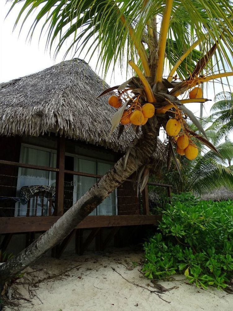 Hotel Les Tipaniers Moorea Exterior photo