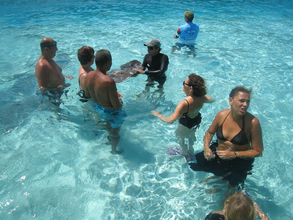 Hotel Les Tipaniers Moorea Exterior photo